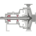 离心泵采用不同的滚动轴承