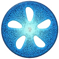 Michelin Visionary轮胎概念
